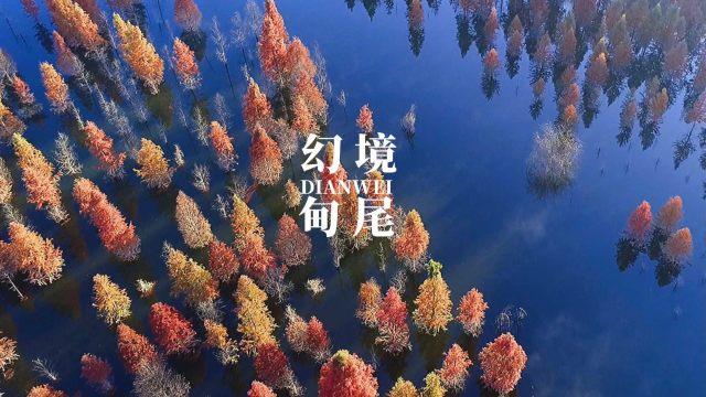 2023中国经济年报丨2023我国工业经济回升向好 信息通信业加快发展
