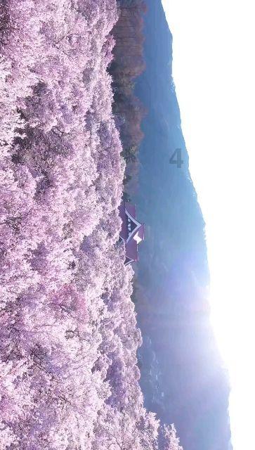 工业经济稳步恢复韧性增强