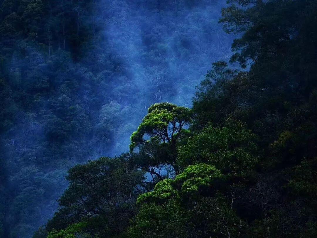 塞尔达：荒野之息