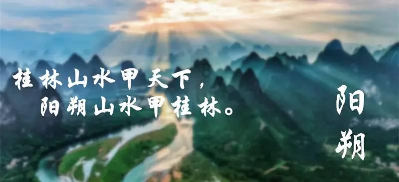 上海影协选举产生新一届理事会，郑大圣当选主席