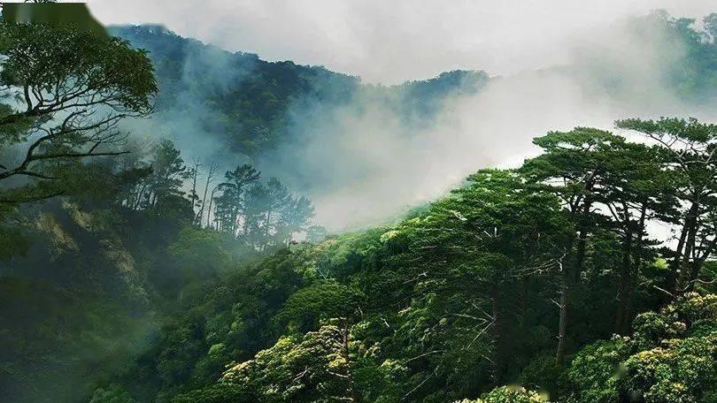 探索无限可能,尽在花生种值40天后肥料不均匀有的发黄也矮怎么办?问答交流平台!