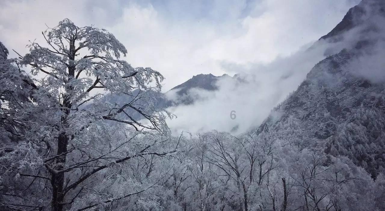 星战前线2