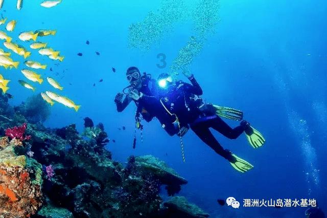 探探猫之飞刀大师