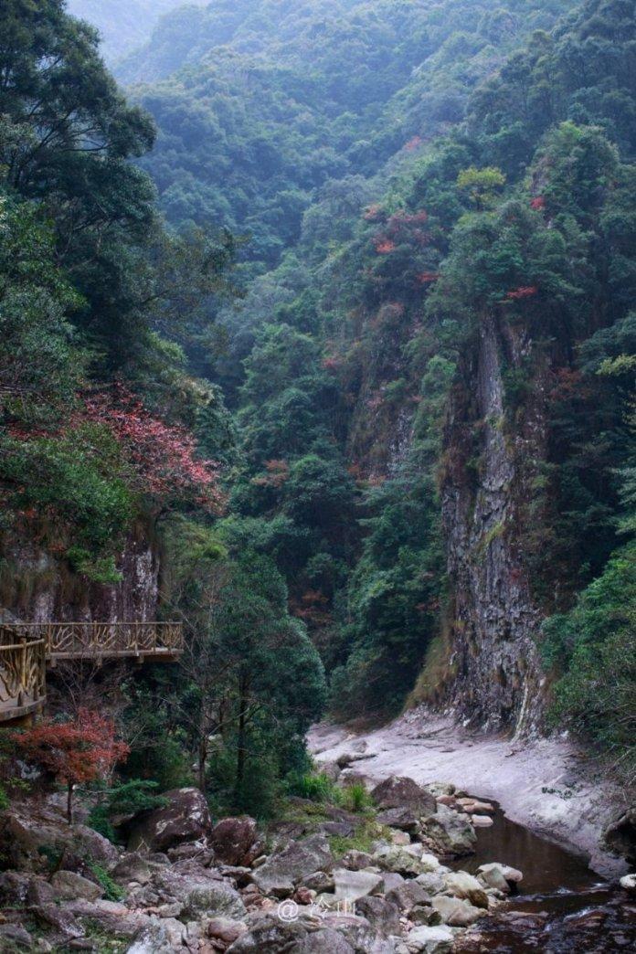 30多位足坛传奇球星山城开赛 重庆球迷直呼大饱眼福