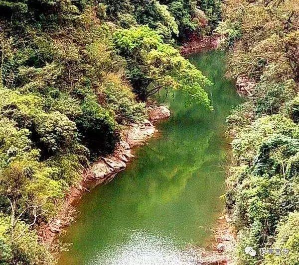 逃出林中村